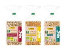 Bio Knäckebrot