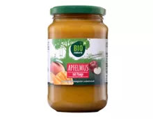 BIO NATURA Bio-Apfelmus mit Zusatzfrucht, Mango