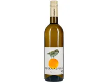 Bio Naturaplan Terra Alpina Vino Bianco