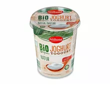 Bio Naturjoghurt