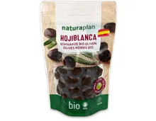 Bio Olive Hojiblanca ohne Stein