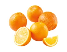 Bio Orangen