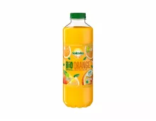 Bio Orangensaft