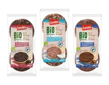 Bio Schoko-Reiswaffeln