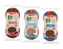Bio Schoko-Reiswaffeln