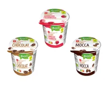 Bio Schweizer Vegurt