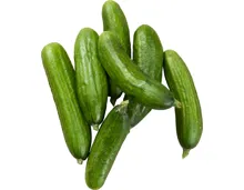 Bio Snack-Gurken