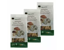 Bio Steinpilze getrocknet 3x 25g