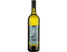 Bio Ticino IGT Bianco barricato Biobi (2024) – Weisswein, Schweiz (0.75l)