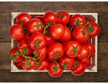 Bio Tomaten