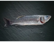 Bio Wolfsbarsch