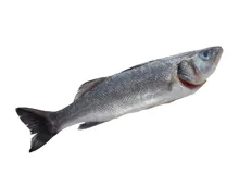 Bio Wolfsbarsch