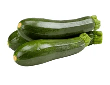 Bio Zucchetti