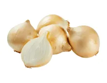 Bio Zwiebeln