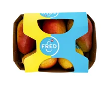 Birnen Fred vv IP-Suisse