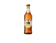 Birra Moretti