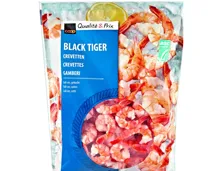 Black Tiger Crevetten ASC Tail-on gekocht
