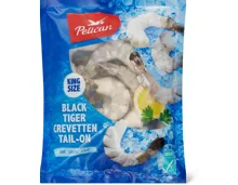 Black Tiger Crevetten Tail-on, ASC