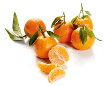 Blatt-Clementinen