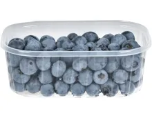 Blaubeeren