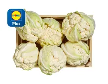 Blumenkohl