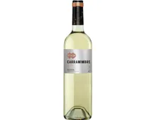 Bodegas Carramimbre Verdejo (2025) – Weisswein, Spanien (0.75l)