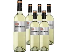Bodegas Carramimbre Verdejo 6x 75cl (2023) – Weisswein, Spanien (0.75l)
