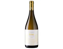 Bodegas Tempore Terrae Finca La Dehesa (2022) – Weisswein, Spanien (0.75l)