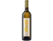 Bonvillars AOC Assemblage Exploz Blanc (2024) – Weisswein, Schweiz (0.75l)