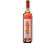 Bonvillars AOC Exploz Rose (2023) – Roséwein, Schweiz (0.75l)