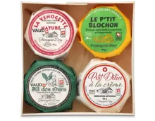 Bory 4 Mini-Tommes gemischt