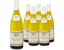 Bourgogne AOC Chardonnay Louis Jadot 6x 75cl (2023) – Weisswein, Frankreich (0.75l)
