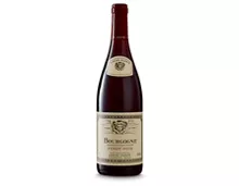 Bourgogne AOC Pinot Noir Louis Jadot 2017, 75 cl