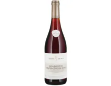 Bourgogne Hautes-Côtes de Nuits Albert Bichot (2023) – Rotwein, Frankreich (0.75l)