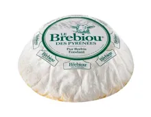 Brebiou