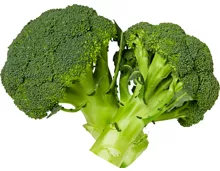 Broccoli