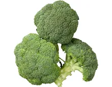 Broccoli