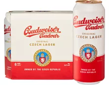 Budweiser Lagerbier Original