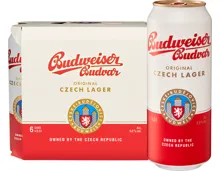 Budweiser Lagerbier Original