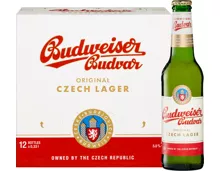 Budweiser Original Lagerbier