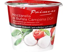 Büffelmozzarella aus Kampanien DOP