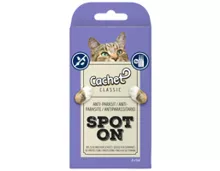 CACHET Spot On Katzen