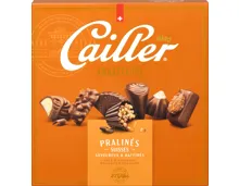 Cailler Ambassador 210