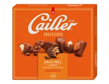 Cailler Ambassador