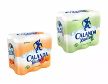 Calanda Radler