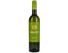 Calchaqui Blanco de Corte Amalaya (2020) – Weisswein, Argentinien (0.75l)