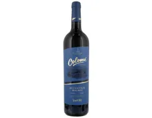 Calchaqui Malbec Auténtico Colomé (2020) – Rotwein, Argentinien (0.75l)