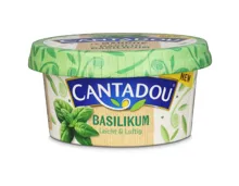 Cantadou Basilikum