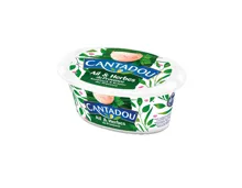 Cantadou Knoblauch & Kräuter