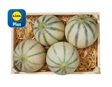 Cantaloupemelonen